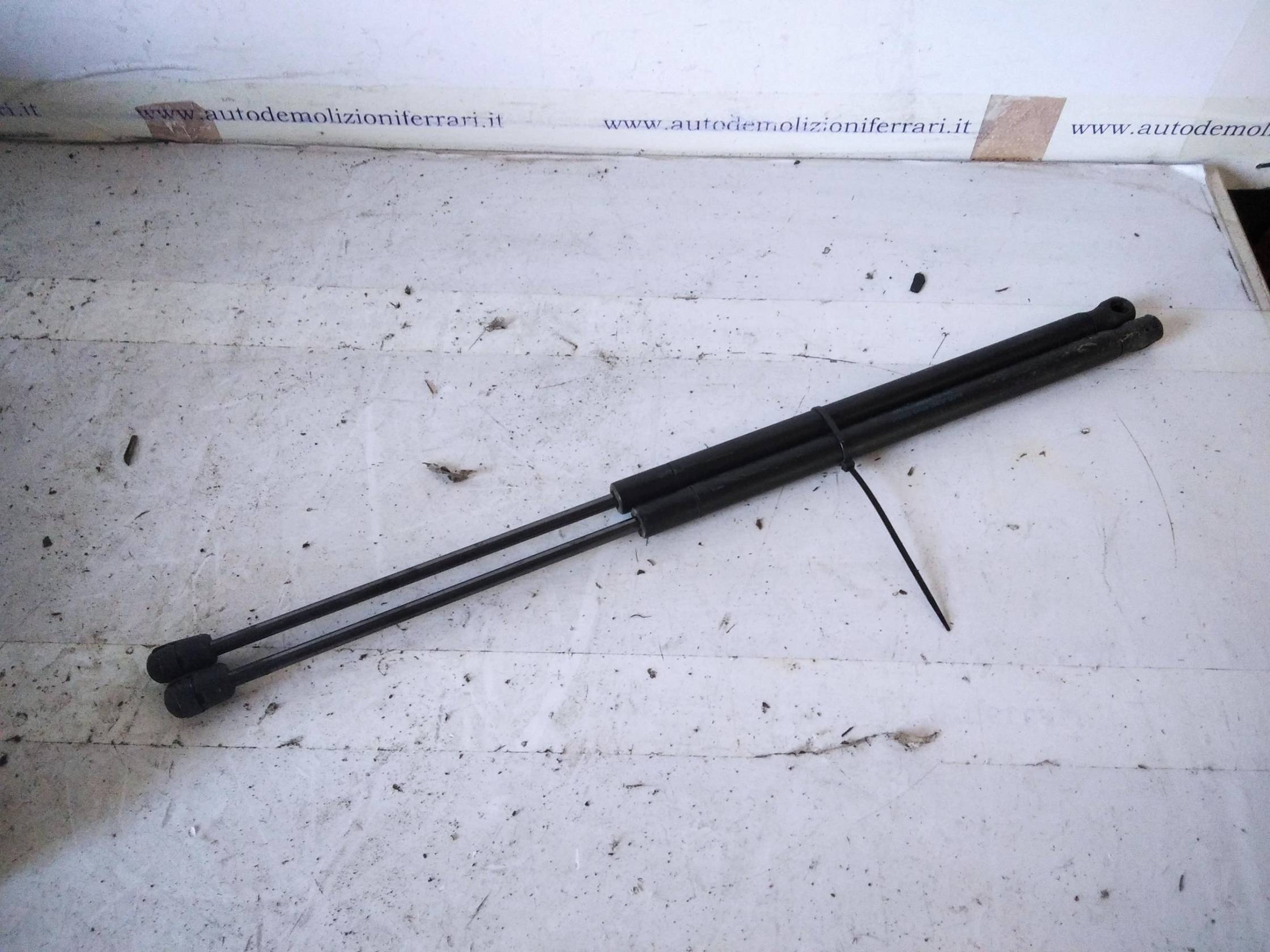 Asta ammortizzante portello post. sx.